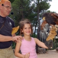 Falcon Center Šibenik
