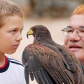 Falcon Center