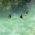 Krka National Park