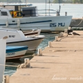Murter dock