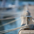 Murter dock