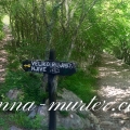 paklenica (4)